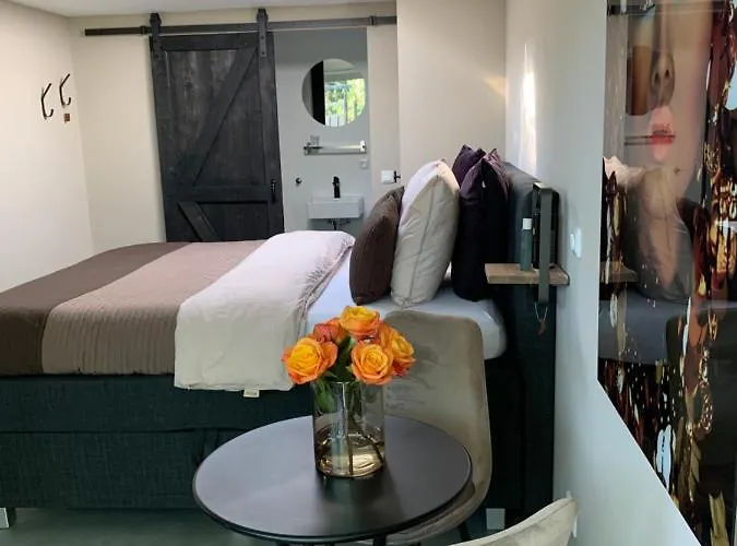B&B Petite Maison Bennebroek