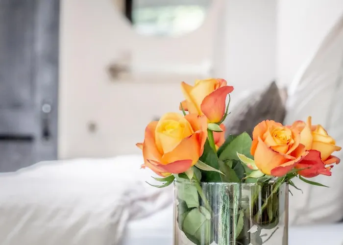 B&B Petite Maison Bennebroek